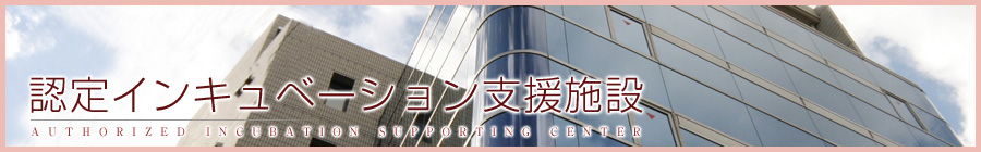 �F��C���L���x�[�V�����x���{��