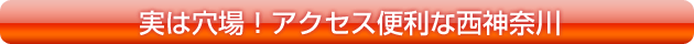 実は穴場!アクセス便利な西神奈川