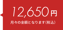 12,650円（月々料金/税込）