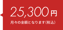 25,300円（月々料金/税込）